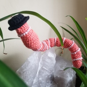 PDF CROCHET PATTERN Dress Up Earth Worm Wormy earthworm amigurumi witch Halloween hats image 8