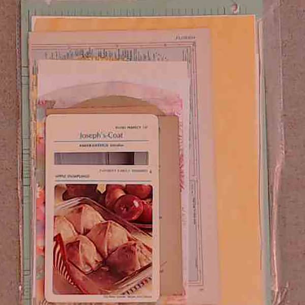 Vintage and New Paper Pack Plus - Gefärbte Papiere - Edith Holden, Henry Terry, Janet Marsh - Vintage Atlas and Ledger Papers und mehr