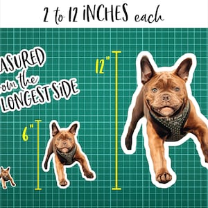 K&ouml;nnte beinhalten: Drei verschiedene Gr&ouml;&szlig;en von Hundestickern, 5 cm, 15 cm und 30 cm. Die Sticker befinden sich auf einem gr&uuml;nen Gitterhintergrund. Der Text "2 to 12 INCHES each" befindet sich oben im Bild. Der Text "MEASURED from the LONGEST SIDE" befindet sich oben links im Bild. Die Sticker sind von einer braunen Franz&ouml;sischen Bulldogge.