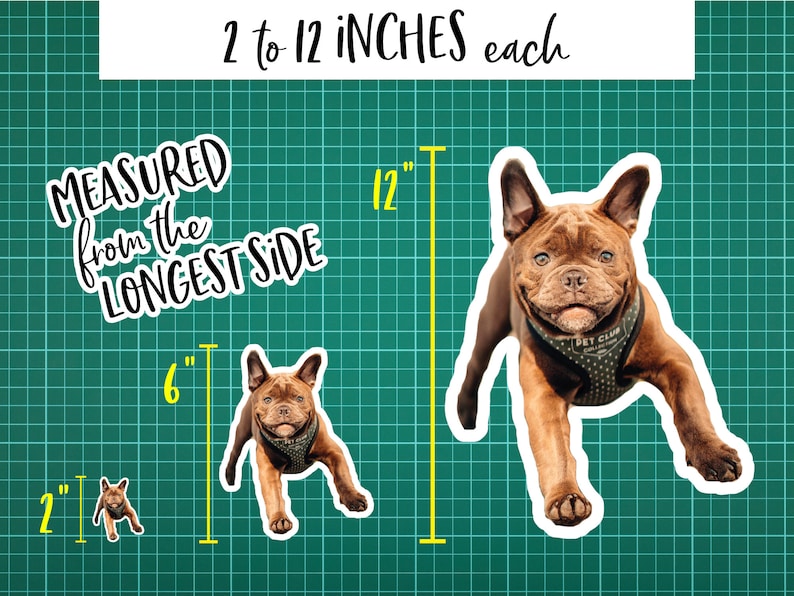 K&ouml;nnte beinhalten: Drei verschiedene Gr&ouml;&szlig;en von Hundestickern, 5 cm, 15 cm und 30 cm. Die Sticker befinden sich auf einem gr&uuml;nen Gitterhintergrund. Der Text "2 to 12 INCHES each" befindet sich oben im Bild. Der Text "MEASURED from the LONGEST SIDE" befindet sich oben links im Bild. Die Sticker sind von einer braunen Franz&ouml;sischen Bulldogge.
