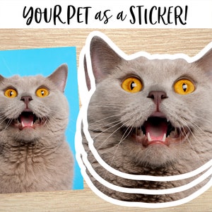 Custom Cat Sticker, Custom Dog Sticker, Pet pictures - Removable Vinyl, Pet Photo print, Dog Cat Mom Dad Gifts