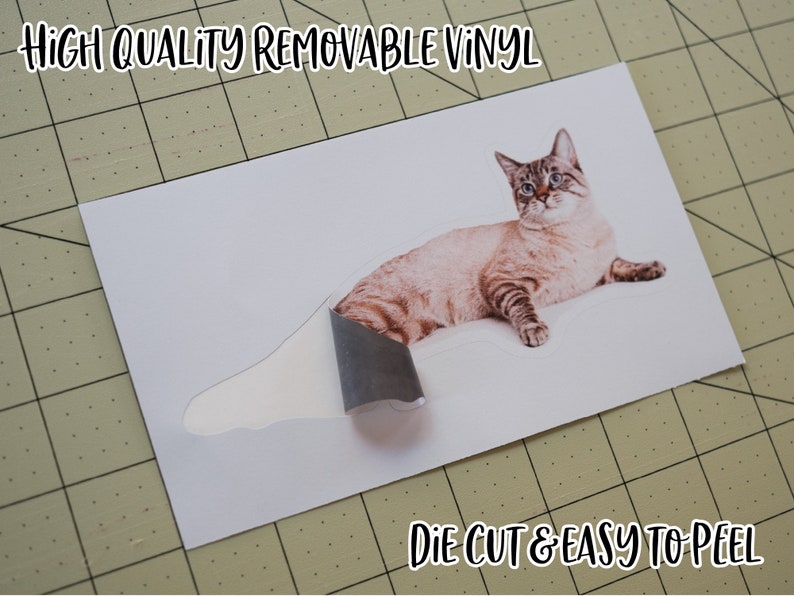 K&ouml;nnte beinhalten: Ein wei&szlig;es Blatt Papier mit einem ausgestanzten Bild einer gestreiften Katze, die liegt. Die Katze ist braun und wei&szlig; mit blauen Augen. Das Papier liegt auf einer gr&uuml;nen Schneidematte. Der Text "HIGH QUALITY REMOVABLE VINYL" befindet sich oben im Bild. Der Text "DIE CUT & EASY TO PEEL" befindet sich unten im Bild.