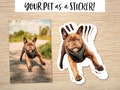 Custom Pet Sticker, Custom Dog Sticker, Custom Cat Sticker - Removable Vinyl, Pet Photo print