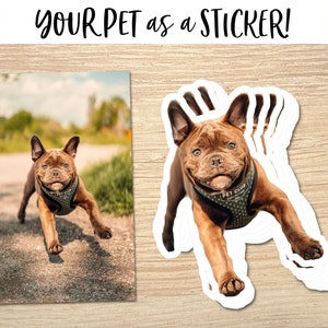 Custom Pet Sticker, Custom Dog Sticker, Custom Cat Sticker - Removable Vinyl, Pet Photo print