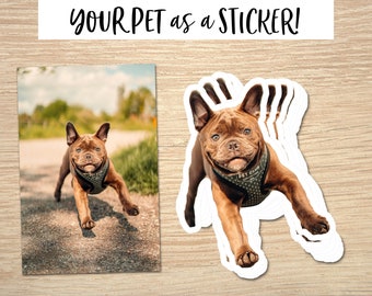 Custom Pet Sticker, Custom Dog Sticker, Custom Cat Sticker - Removable Vinyl, Pet Photo print