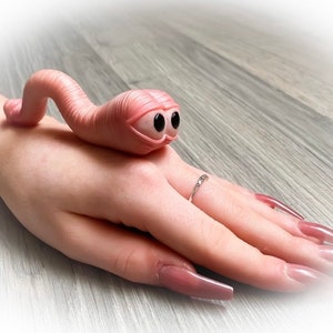Willy worm !! Balls and Willy ornament art , shelf decor , novelty decoration, rude , mature , gift , hen party gift , Valentine’s gift