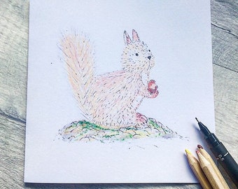 Hand drawn squirrel -nature-animal card - blank inside
