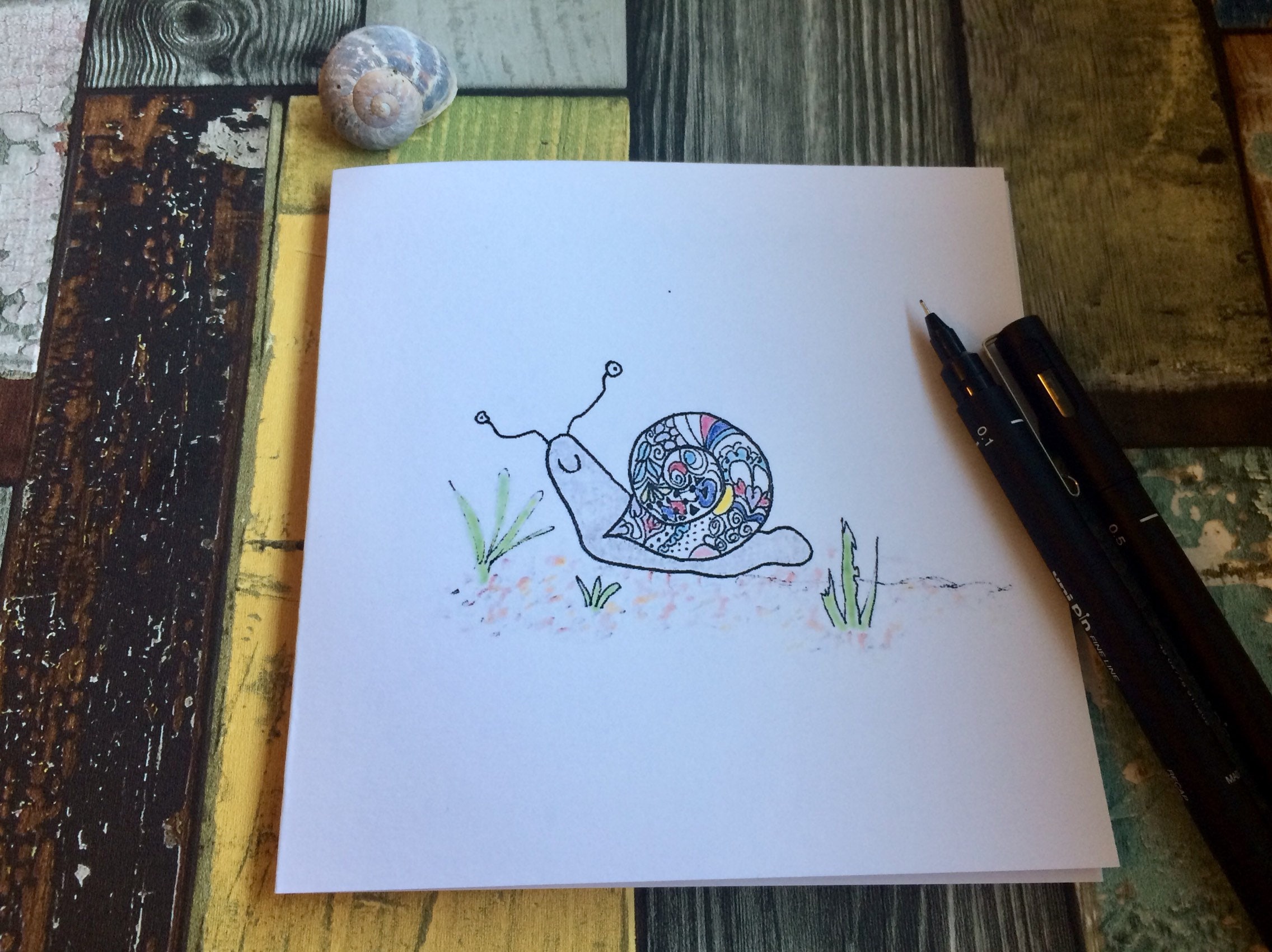 Hand Drawn Bold and Bright Nature Snail Occasion Card - Etsy India