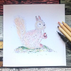 Écureuil dessiné à la main -carte nature-animal - blanc à l’intérieur