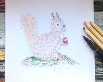 Hand drawn squirrel -nature-animal card - blank inside