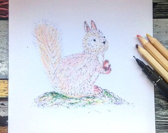 Hand drawn squirrel -nature-animal card - blank inside