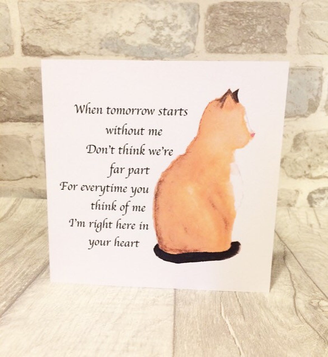 Verlies Van Huisdier Kat Kaart Handgemaakt Sympathie - Etsy Nederland
