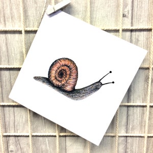 Carte d’occasion d’escargot d’illustration illylarlar dessinée à la main - vide à l’intérieur