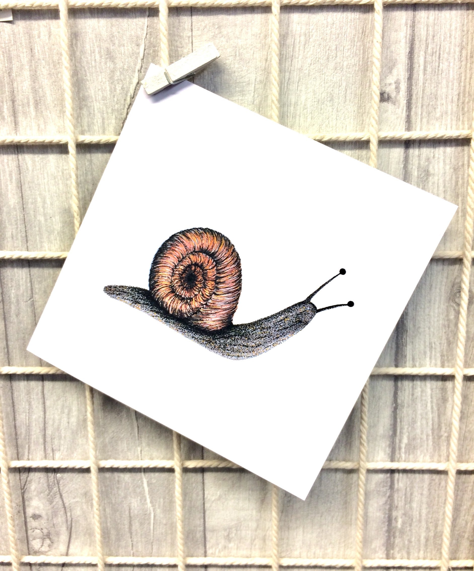 Hand Drawn Illylarlar Illustration Snail Occasions Card - Etsy