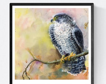 Peregrine Falcon Art, Peregrine Falcon Print, Peregrine Falcon, Art Print Bird, Peregrine Falcon Watercolor, Art Print Watercolor, Art Gifts