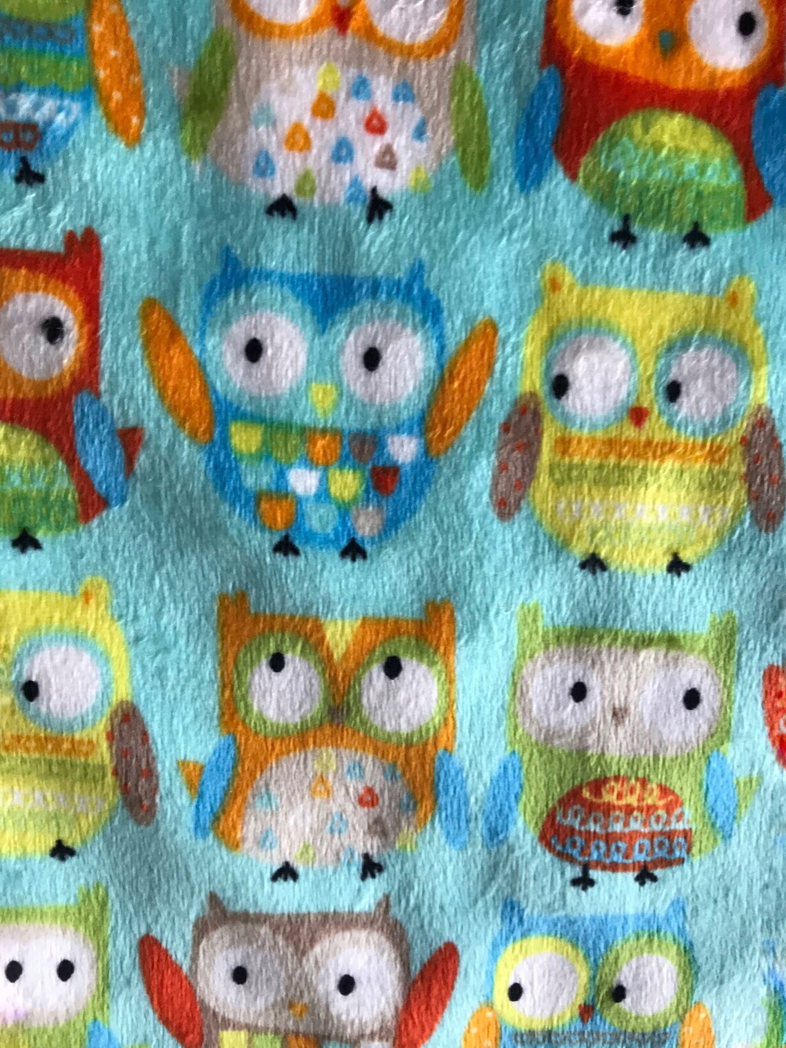 Owl minky blanket multi color blanket Etsy