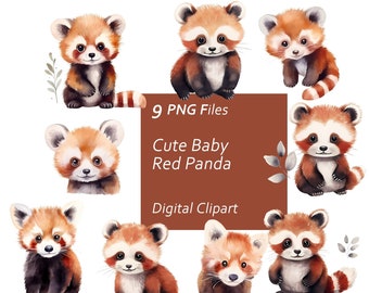Baby Red Panda Watercolor Clipart – 9 PNG Graphics, Commercial Use