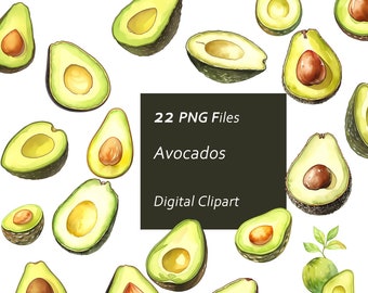 Avocado Clipart Set - Watercolor Avocados - Whimsical Avocado - Instant Download PNG, Commercial Use, Printable Design Element