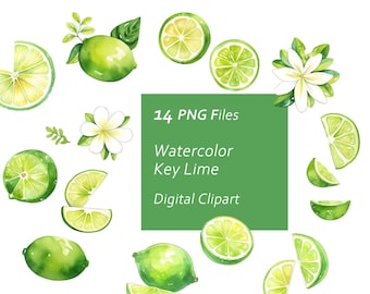 Clipartset aquarel key lime – groene limoenschijfjes (PNG Instant Download)