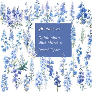 Delphinium Blue Flowers Clipart Set - Blue Blooms - Delphiniums Bouquet - Instant Download PNG, Commercial Use, Printable Design Element