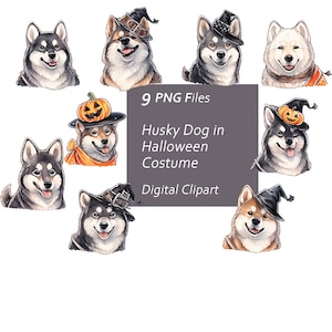 Husky Dog in Halloween Costumes Clipart Set - Husky Halloween - Instant Download PNG, Commercial Use, Printable Design Element
