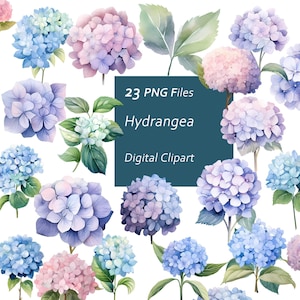 Hortensie Clipart Set - botanische Drucke - Blumen Clipart - Sofortiger Download PNG, kommerzielle Nutzung, druckbares Design-Element