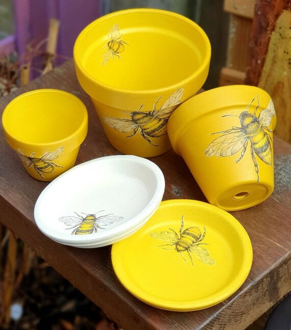 Bee Plant Pots With without Saucer. Bee Plant Pots Yellow Painted