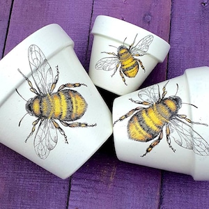 Bee Plant Pots: Set of White Painted Clay Garden Pots