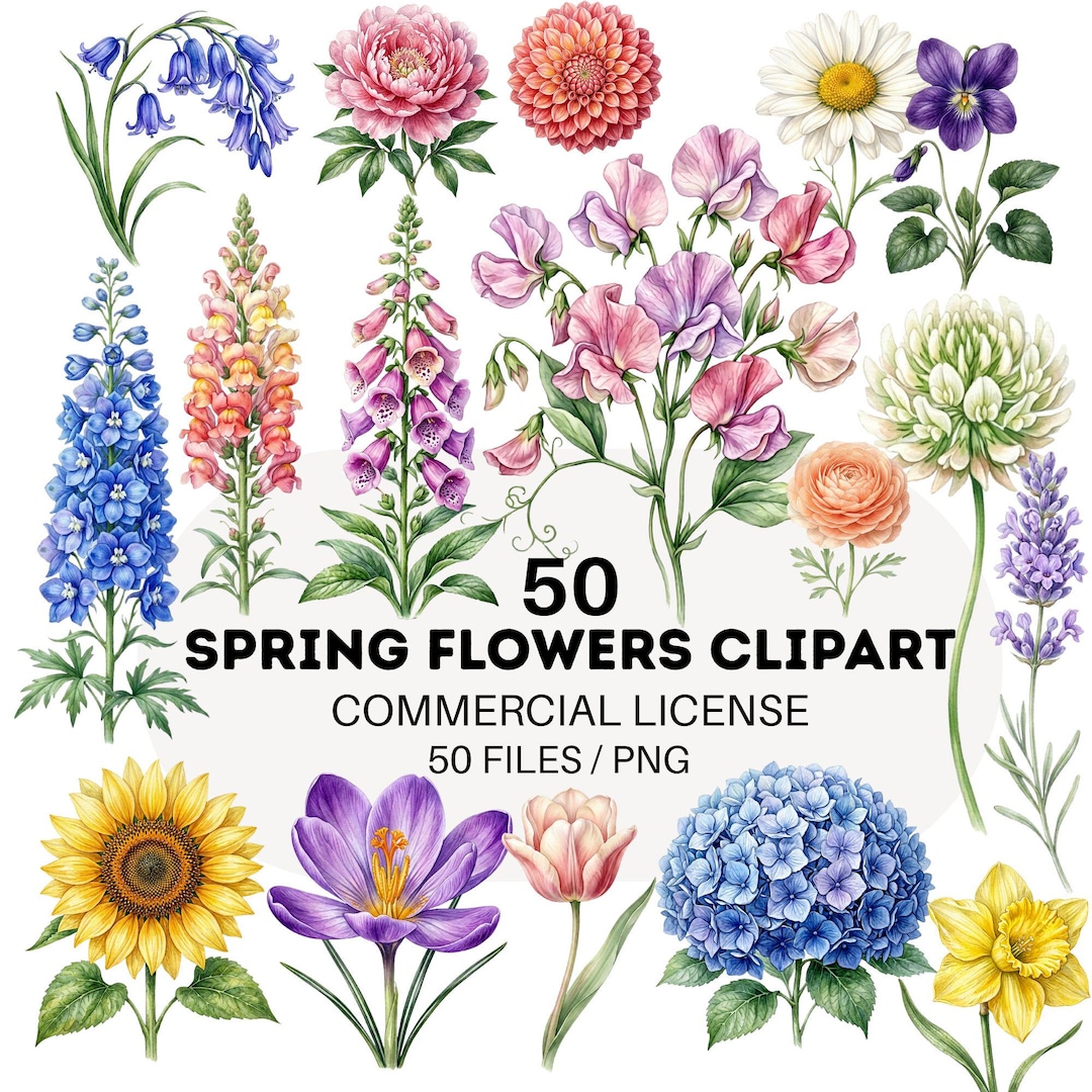 Watercolor Spring Flower Clipart Wildflower Spring Flowers PNG ...