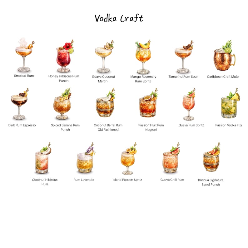 Puede incluir: Ilustraci&oacute;n de c&oacute;cteles, con recetas como Smoked Rum, Honey Hibiscus Rum Punch y Guava Coconut Martini. El texto "Vodka Craft" est&aacute; en la parte superior.