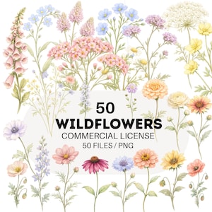 Può includere: Illustrazione ad acquerello di 50 fiori selvatici in vari colori, tra cui rosa, viola, giallo e blu. L'immagine include il testo "50 WILDFLOWERS COMMERCIAL LICENSE 50 FILES / PNG". I fiori sono disposti su sfondo bianco.