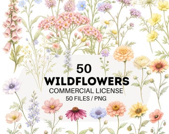 Imágenes prediseñadas de acuarela de flores silvestres, conjunto de PNG florales (descarga digital)