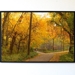 May include: A winding path through a woodland with golden leaves in autumn. The path leads to a wooden bridge.