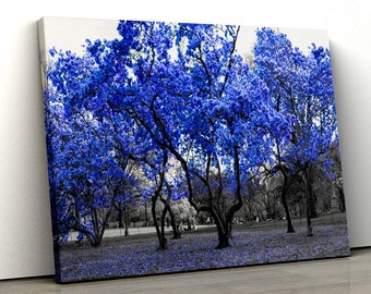 Large Blue trees black white Home Decor Nature Framed Canvas Print Wall Art 111