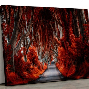 Herbst Wald rote Bäume mit Pfad Motiv Natur Wohnkultur Gerahmt Leinwand Druck Wandkunst für Schlafzimmer pp272
