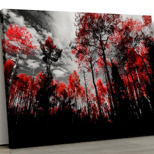 Red tree black and white forest scene Framed Canvas Print Wall Art pp185