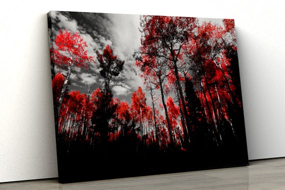Red Tree Black And White Forest Scene Framed Canvas Print Wall - Black White Red Tree Wall Art Red Tree Black And White Forest Scene Framed Canvas Print Wall - Black White Red Tree Wall Art