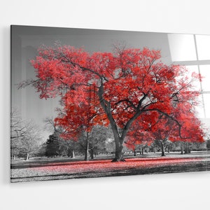 Red tree in a black and white park premium Acrylic glass Print Wall Art canvas gift a106