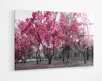 Pink black and white Tree Forest Park premium Acrylic glass Print Wall Art canvas gift a103