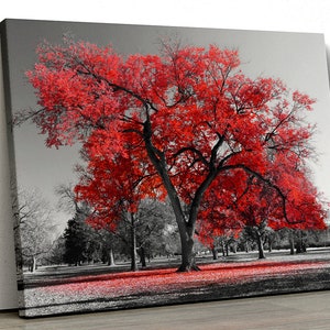 Large Red tree black white Home Decor Nature Framed Canvas Print Wall Art 106