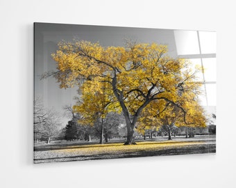 Yellow tree in a black and white park premium Acrylic glass Print Wall Art bedroom decor canvas gift a115