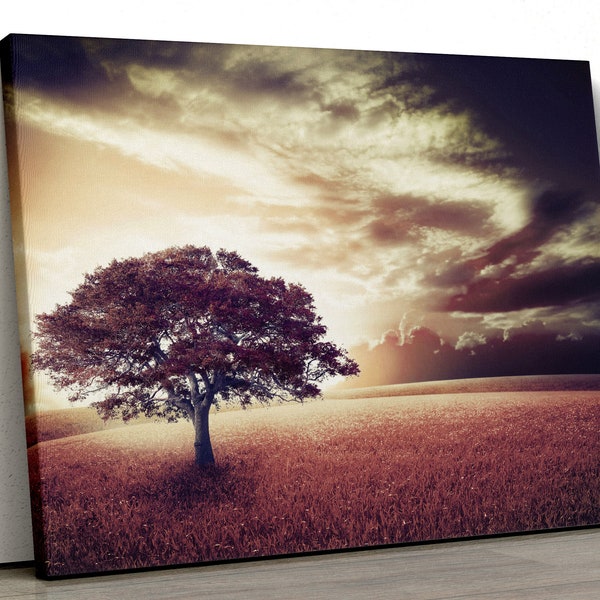 Large tree with sunset in a field nature Home Decor Nature Framed Canvas Print Wall Art pp378