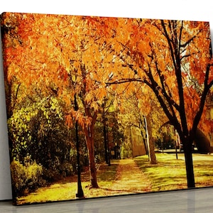 Herbst Wald gelbe Bäume mit Pfad Motiv Natur Wohnkultur Gerahmt Leinwand Druck Wandkunst für Schlafzimmer pp273