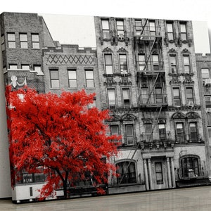 Red tree Black and White city buildings scene Framed Canvas Print Wall Art pp198