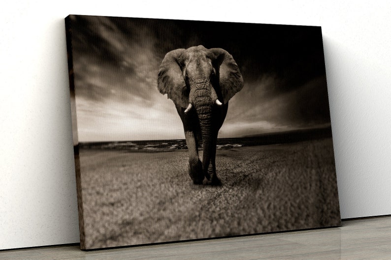 Black and White African Elephant Beautiful Framed Canvas Print Etsy UK