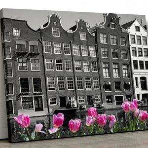 Pink Tulips black and white Amsterdam scene Framed Canvas Print Wall Art pp179