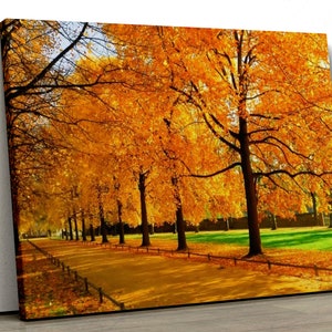 Herbst Wald gelbe Bäume mit Pfad Motiv Natur Home Dekor Gerahmt Leinwand Druck Wandkunst für Schlafzimmer pp274