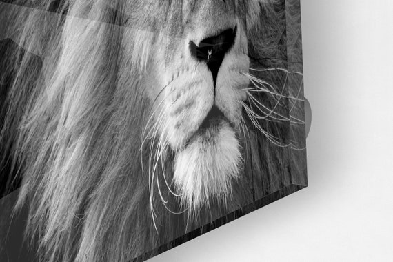 ガラスアート　猫とライオン ガラスアート猫とライオン