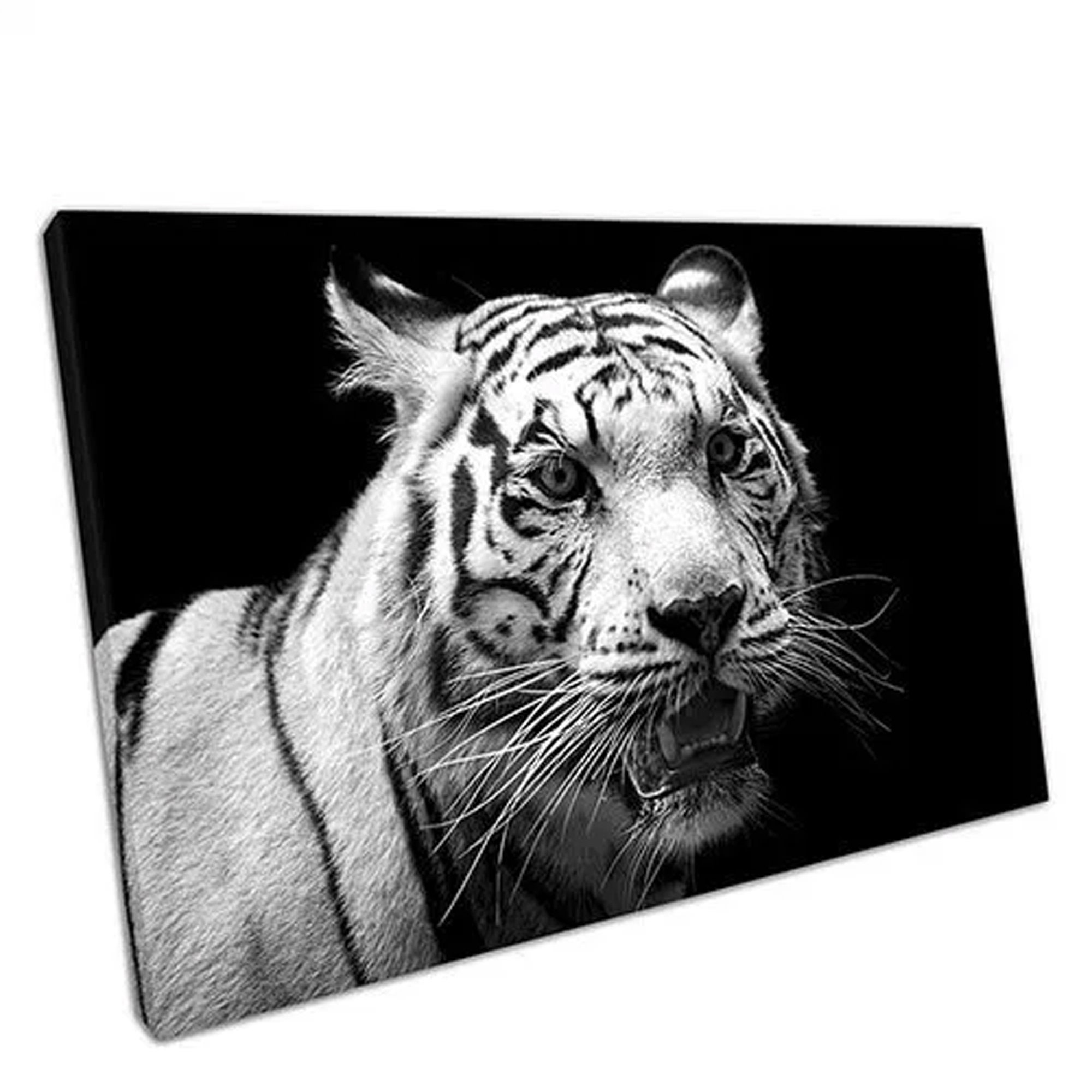 Black & White Abstract Tiger Canvas Wall Art Picture Print A2 A0 A1 