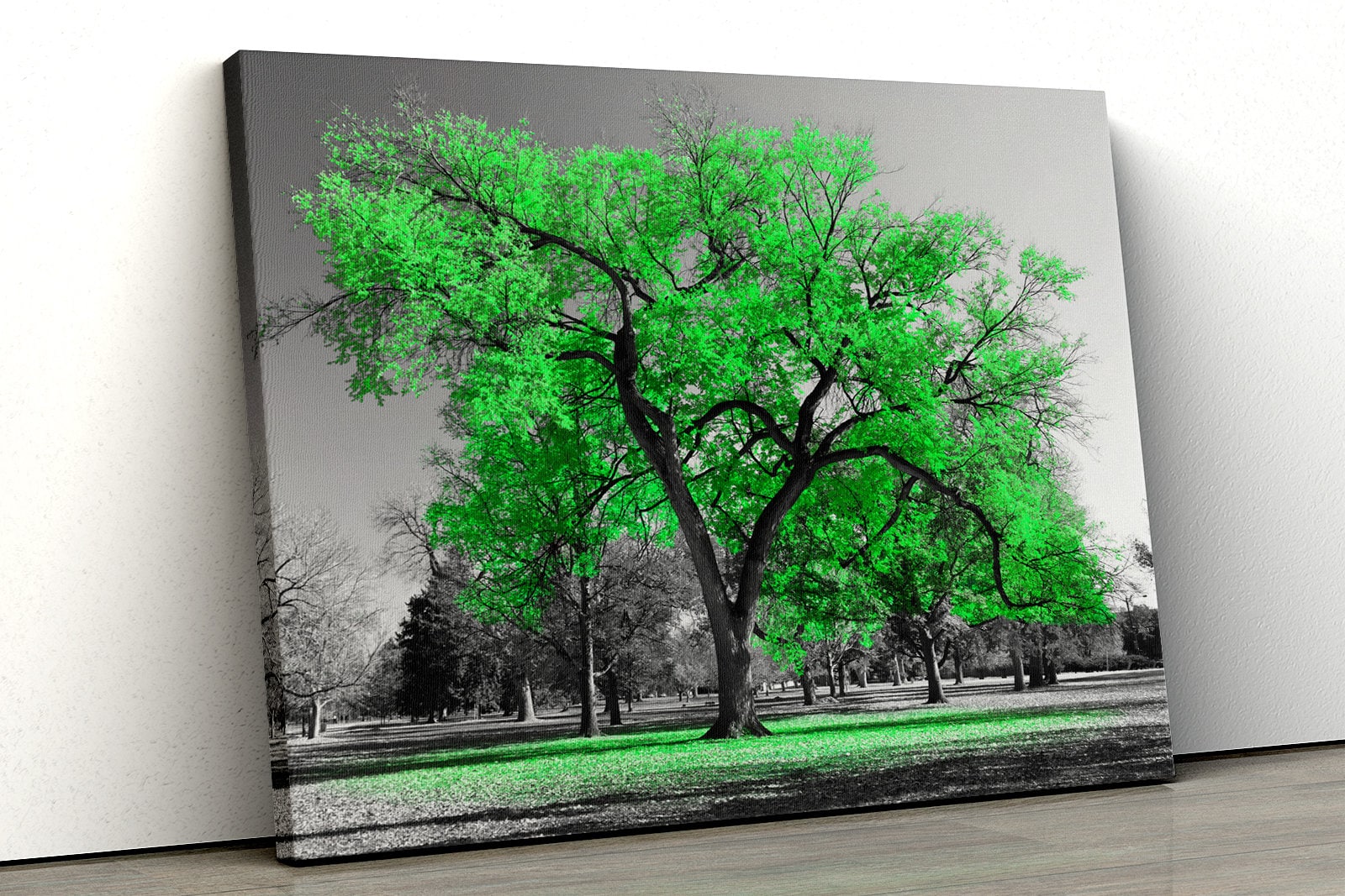 Large Green tree black white Home Decor Nature Framed Canvas Print Wall Art  113
